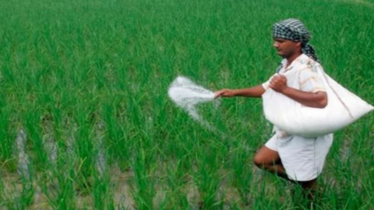 ಯೂರಿಯಾ ಗೊಬ್ಬರ ಕೊಳ್ಳಲು ರೈತರ ನೂಕುನುಗ್ಗಲು..! ಯೂರಿಯಾ ಗೊಬ್ಬರ ಕೊಳ್ಳಲು ರೈತರ ನೂಕುನುಗ್ಗಲು..!