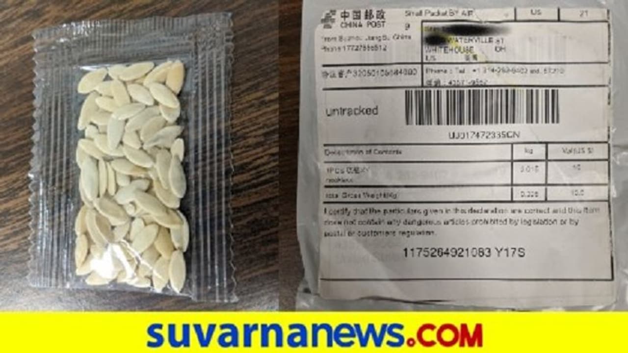 ಅಮೆರಿಕದೆಲ್ಲೆಡೆ ಚೀನಾ ರಹಸ್ಯ ಬೀಜ... ಕೊರೋನಾ ನಂತ್ರ ಇದ್ಯಾವ ಕೆಲಸಕ್ಕೆ ಇಳಿಯಿತು ಡ್ರ್ಯಾಗನ್! ಅಮೆರಿಕದೆಲ್ಲೆಡೆ ಚೀನಾ ರಹಸ್ಯ ಬೀಜ... ಕೊರೋನಾ ನಂತ್ರ ಇದ್ಯಾವ ಕೆಲಸಕ್ಕೆ ಇಳಿಯಿತು ಡ್ರ್ಯಾಗನ್!