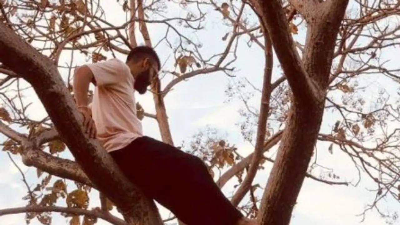 হঠাৎ গাছের মগ ডালে কেনও চড়লেন বিরাট কোহলি হঠাৎ গাছের মগ ডালে কেনও চড়লেন বিরাট কোহলি