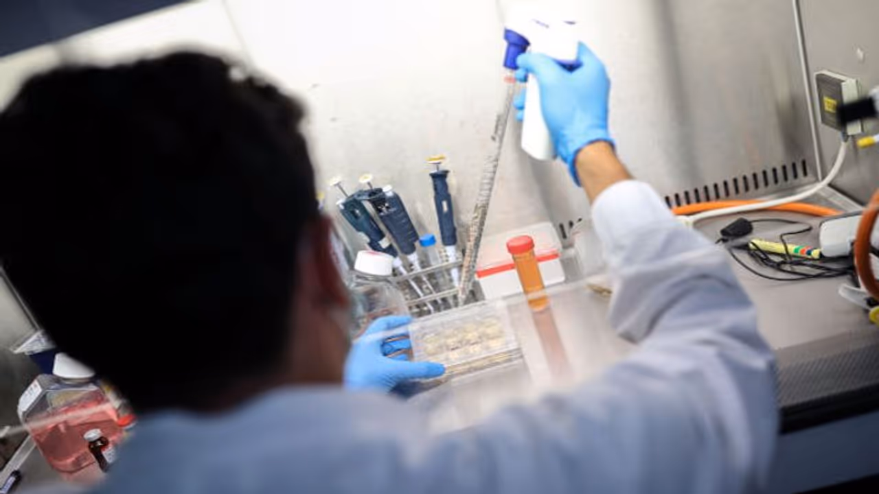 ఏపీలో కరోనా ఉద్ధృతి: కొత్తగా 9,927 కేసులు, 92 మరణాలు ఏపీలో కరోనా ఉద్ధృతి: కొత్తగా 9,927 కేసులు, 92 మరణాలు