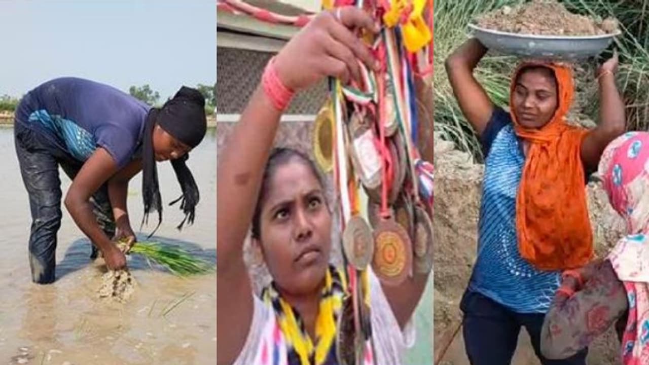 ২৪টি গোল্ড মেডেল জয়ী প্লেয়ার বর্তমানে দিনমজুর,সাহায্যের হাত বাড়ালেন ক্রীড়ামন্ত্রী ২৪টি গোল্ড মেডেল জয়ী প্লেয়ার বর্তমানে দিনমজুর,সাহায্যের হাত বাড়ালেন ক্রীড়ামন্ত্রী