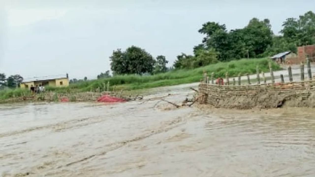 గర్బిణీకి పురిటినొప్పులు.. వాగులో వరద ఉద్ధృతి, చెట్టుకొమ్మలతో గిరిజనుల సాహసం