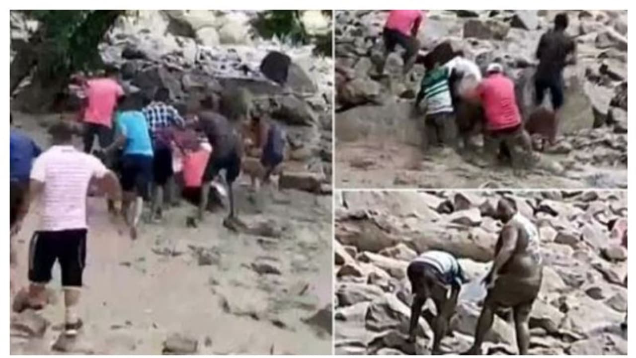 খরস্রোতা নদীতে পা পিছলে পড়ে গেলেন বিধায়ক, তারপর কী হল জানতে দেখুন রোমহর্ষক সেই ভিডিও