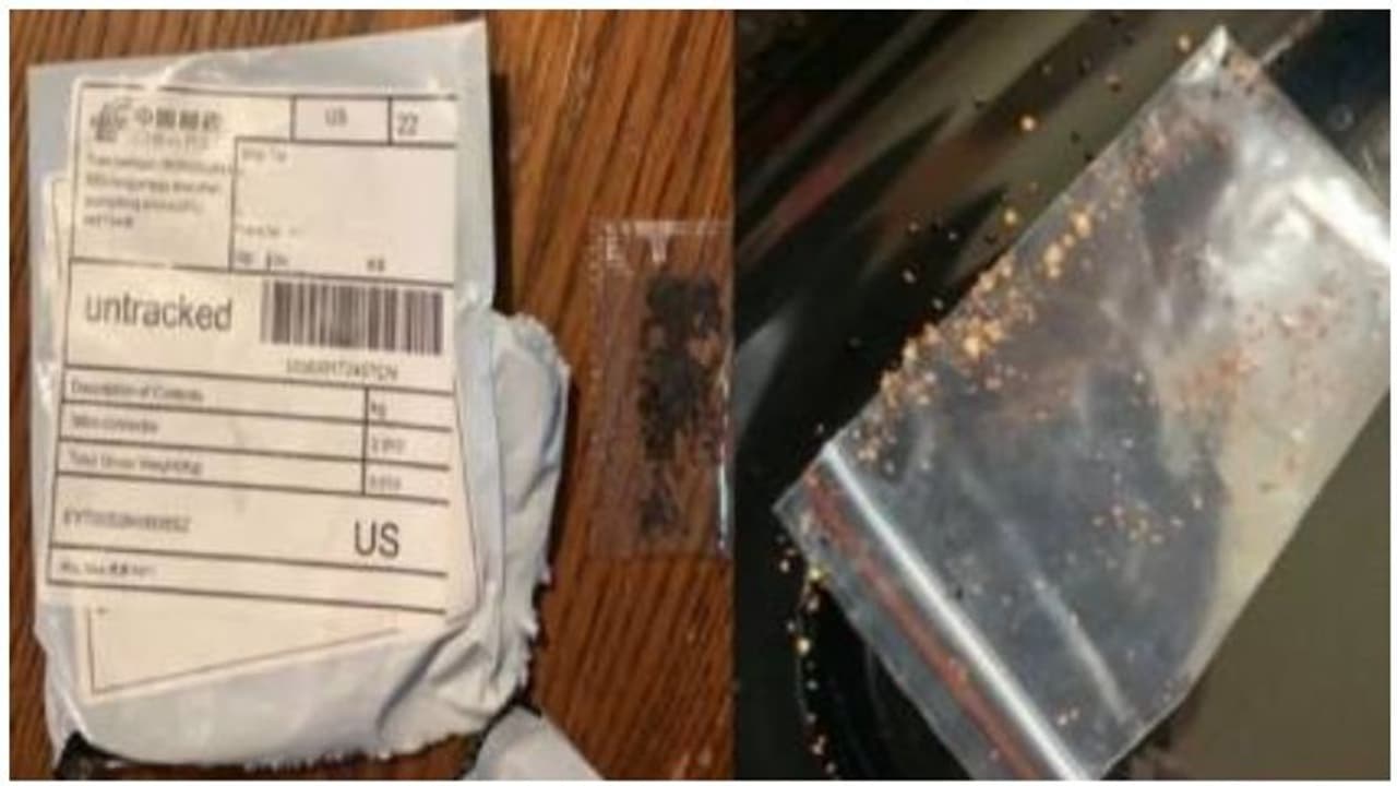 கொரோனாவைவிட கொடூரம்... வீட்டுக்கே வரும் சீனா பார்சல் ஆபத்து... ஆபத்தை வாங்கி கட்டிக்கொள்ளாதீர்கள் மக்களே..!