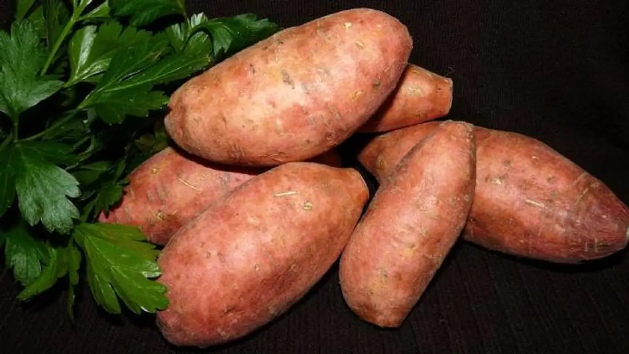 sweet potato sweet potato