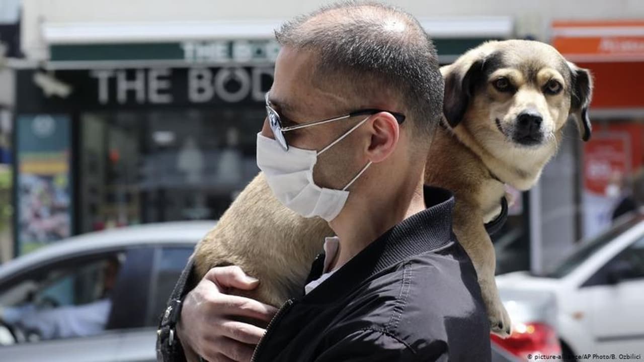 கைமீறிப் போன கொரோனா..!! வைரஸ் தொற்றுக்கு துடிதுடித்து இறந்த 7 வயது நாய் ..!!