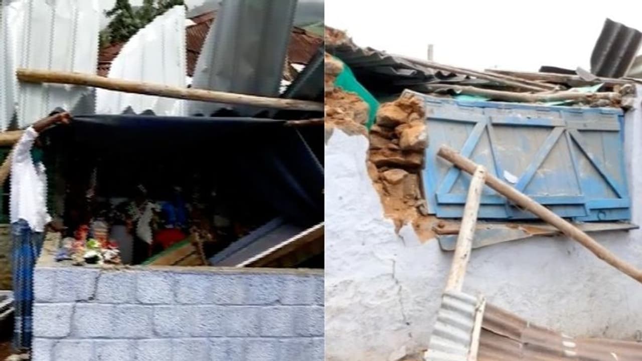 കാടിറങ്ങുന്ന കൊമ്പനെക്കൊണ്ട് ജീവിതം വഴിമുട്ടി ഇടുക്കി സ്വദേശി; ജീവനോപാധിയായ കട പൊളിച്ചത് മൂന്ന് തവണ കാടിറങ്ങുന്ന കൊമ്പനെക്കൊണ്ട് ജീവിതം വഴിമുട്ടി ഇടുക്കി സ്വദേശി; ജീവനോപാധിയായ കട പൊളിച്ചത് മൂന്ന് തവണ