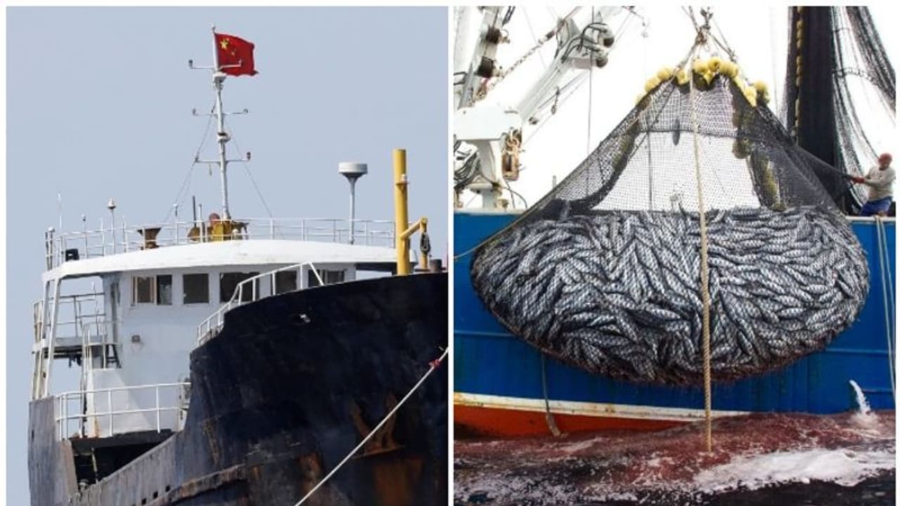 ഇക്വഡോർ തീരത്ത് ചൈനീസ് മത്സ്യബന്ധനക്കപ്പലുകളുടെ തള്ളിക്കയറ്റം, അതീവജാഗ്രതയിൽ കോസ്റ്റ് ഗാർഡ് ഇക്വഡോർ തീരത്ത് ചൈനീസ് മത്സ്യബന്ധനക്കപ്പലുകളുടെ തള്ളിക്കയറ്റം, അതീവജാഗ്രതയിൽ കോസ്റ്റ് ഗാർഡ്