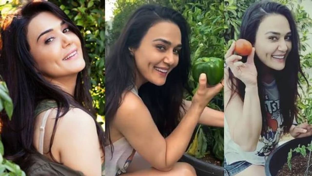 'അഭിമാനം, അമ്മയ്ക്ക് നന്ദി'; അടുക്കളത്തോട്ടത്തിൽ നിന്നുള്ള വീഡിയോ പങ്കുവച്ച് പ്രീതി സിന്റ 'അഭിമാനം, അമ്മയ്ക്ക് നന്ദി'; അടുക്കളത്തോട്ടത്തിൽ നിന്നുള്ള വീഡിയോ പങ്കുവച്ച് പ്രീതി സിന്റ