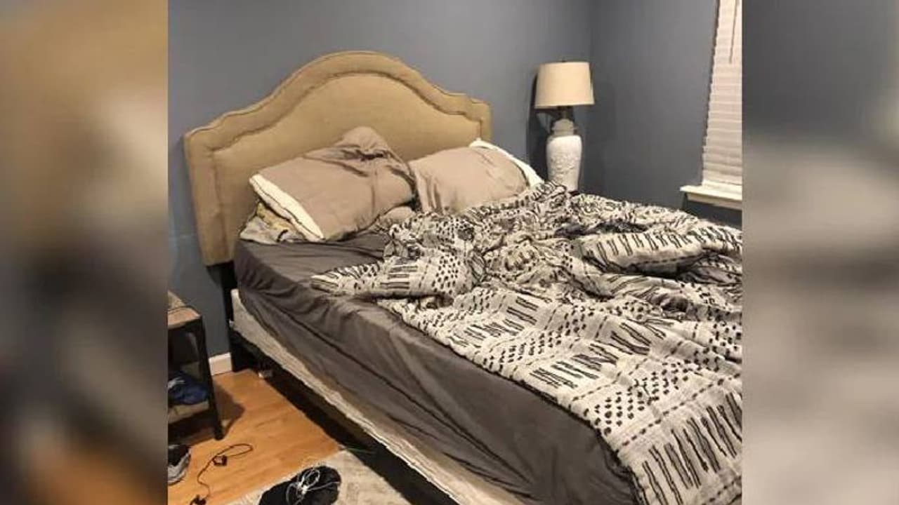 ഈ ചിത്രത്തില്‍ ഒളിച്ചിരിക്കുന്ന നായ്ക്കുട്ടിയെ പെട്ടെന്ന് കണ്ടെത്താമോ?