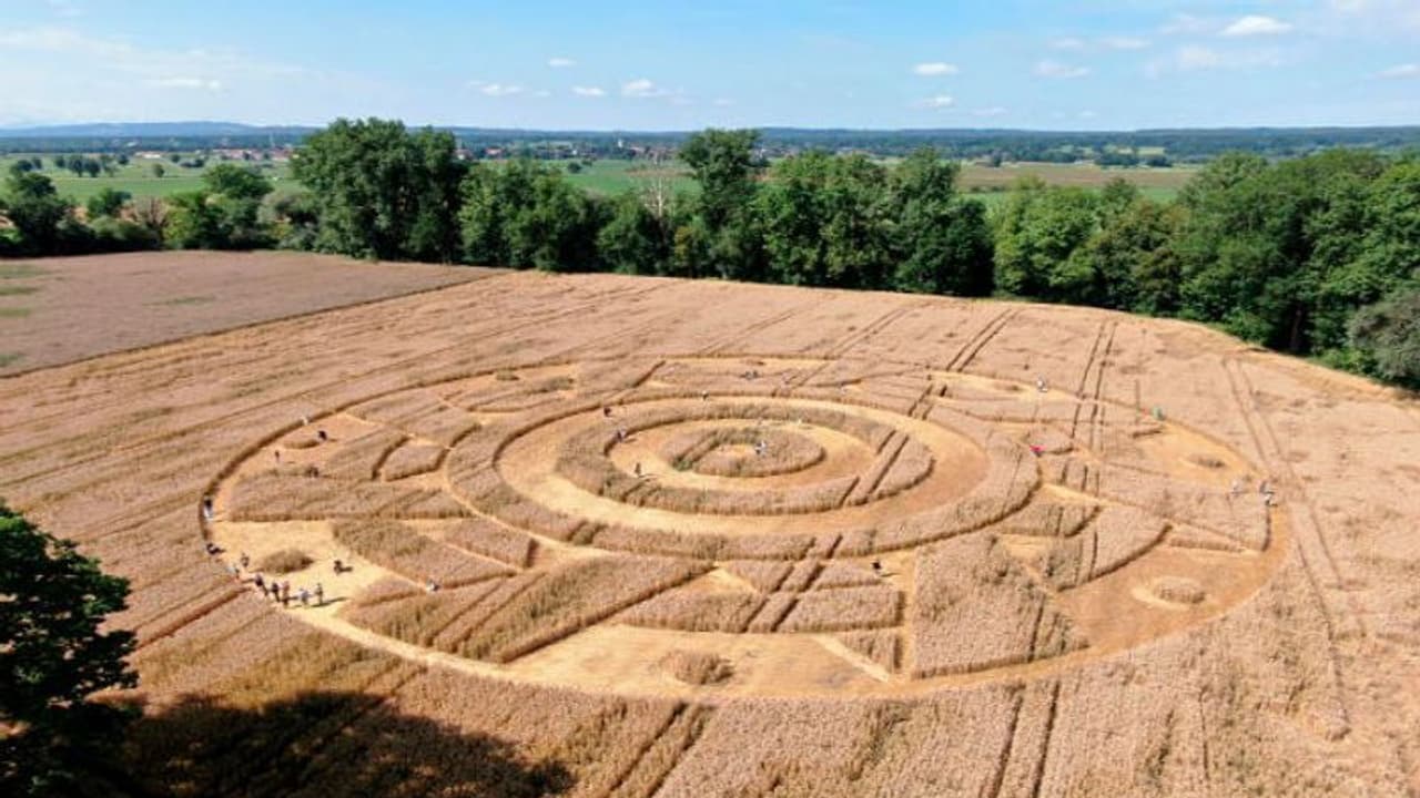 গমের ক্ষেত জুড়ে রাতারাতি তৈরি হল অবাক নক্সা, জার্মানির এই ঘটনার পিছনে কি ভিনগ্রহের জীব গমের ক্ষেত জুড়ে রাতারাতি তৈরি হল অবাক নক্সা, জার্মানির এই ঘটনার পিছনে কি ভিনগ্রহের জীব