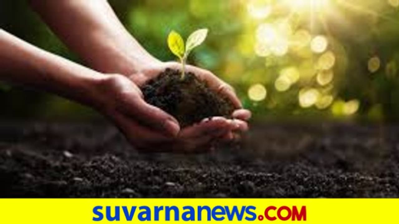 ಹಸಿರೀಕರಣಕ್ಕೆ 17 ಲಕ್ಷ ರು. ಬಹುಮಾನ ಘೋಷಿಸಿದ ಶಾಸಕ!