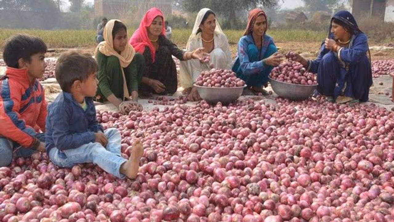 ഉള്ളി വില കൂടില്ല; അടുത്ത മാസം മുതൽ 'ബഫർ സ്റ്റോക്ക്' വിപണിയിലേക്ക് 