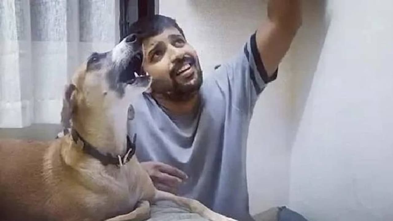 യജമാനനൊപ്പം പാട്ട് പാടുന്ന നായ; വീഡിയോ കണ്ടത് 10 ലക്ഷത്തിലധികം പേര്... യജമാനനൊപ്പം പാട്ട് പാടുന്ന നായ; വീഡിയോ കണ്ടത് 10 ലക്ഷത്തിലധികം പേര്...