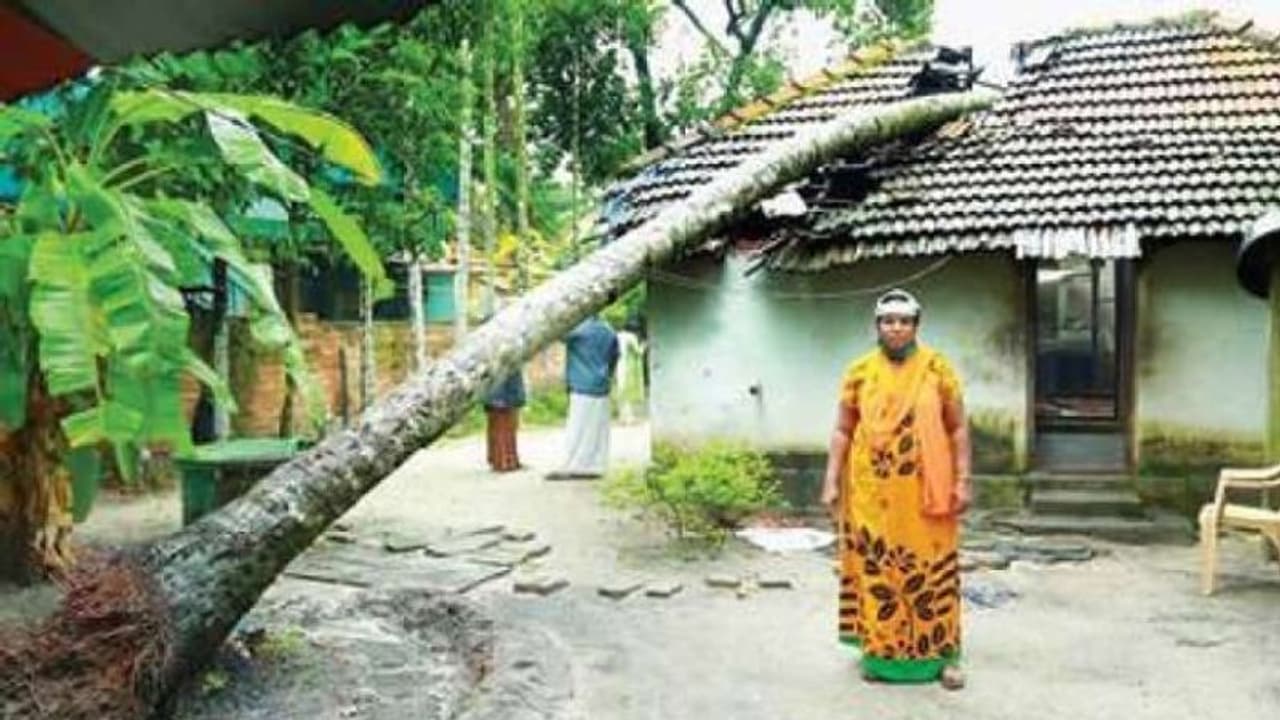 ആലപ്പുഴയില് കാറ്റിലും മഴയിലും മരം വീണ് വീട് തകര്ന്നു ആലപ്പുഴയില് കാറ്റിലും മഴയിലും മരം വീണ് വീട് തകര്ന്നു