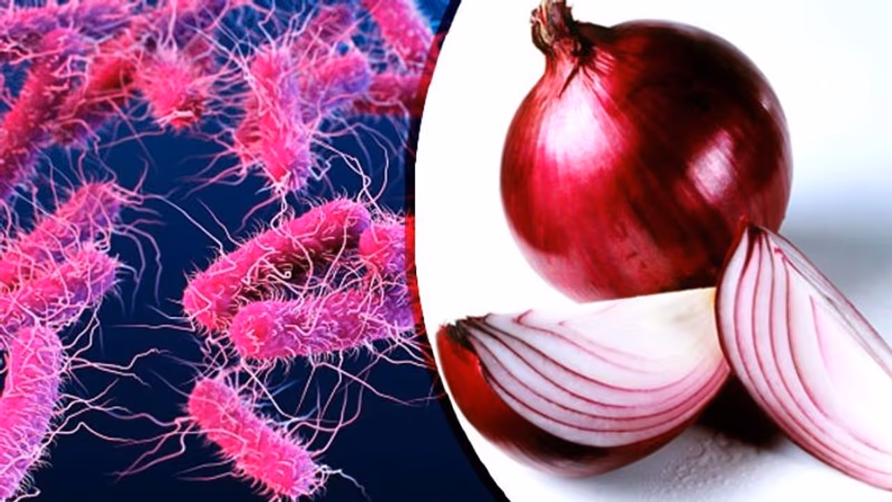 করোনার থেকেও চিন্তা বাড়াচ্ছে সালমোনেলা ব্যাকটেরিয়া, পেঁয়াজ খেয়ে অসুস্থ শতাধিক