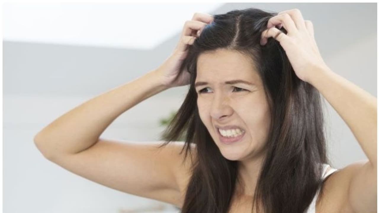 പേൻ ശല്യമുണ്ടോ; വീട്ടിലുണ്ട് നാല് മാർ​ഗങ്ങൾ