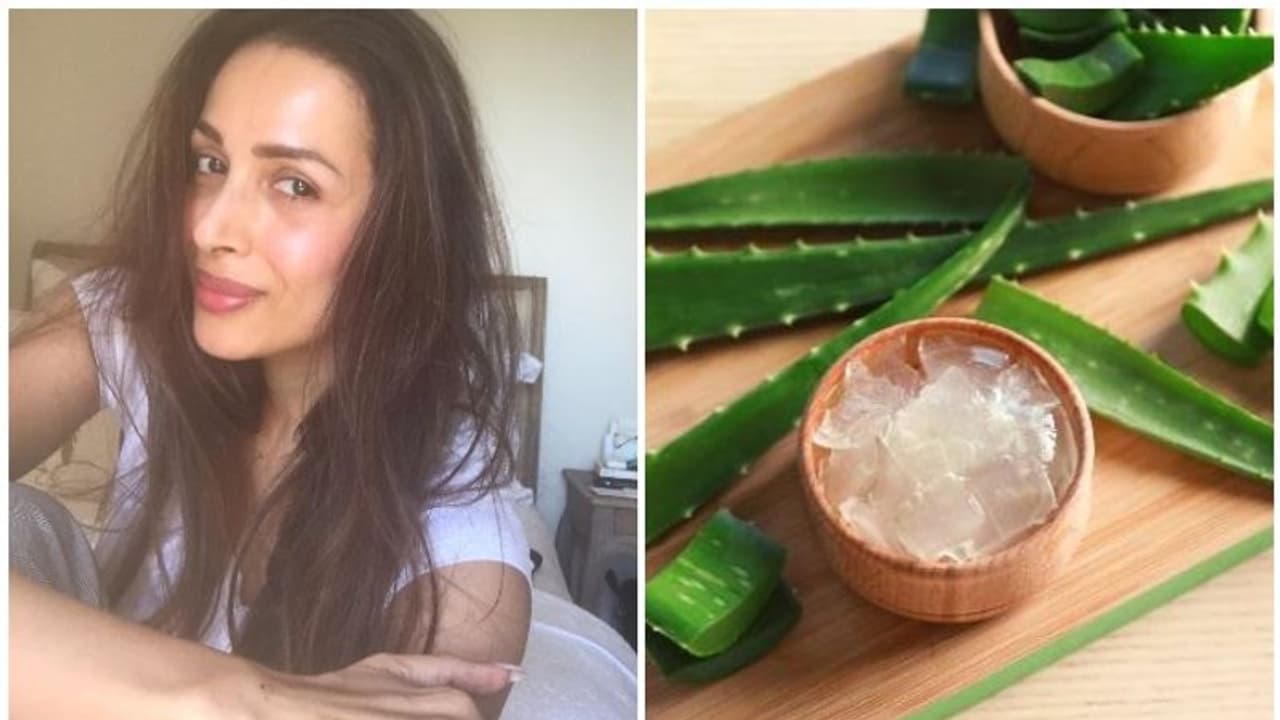 കറ്റാര്‍വാഴ ജെല്‍ ഉപയോഗിക്കൂ, ചര്‍മ്മത്തെ സംരക്ഷിക്കാം; മലൈക അറോറ പറയുന്നു