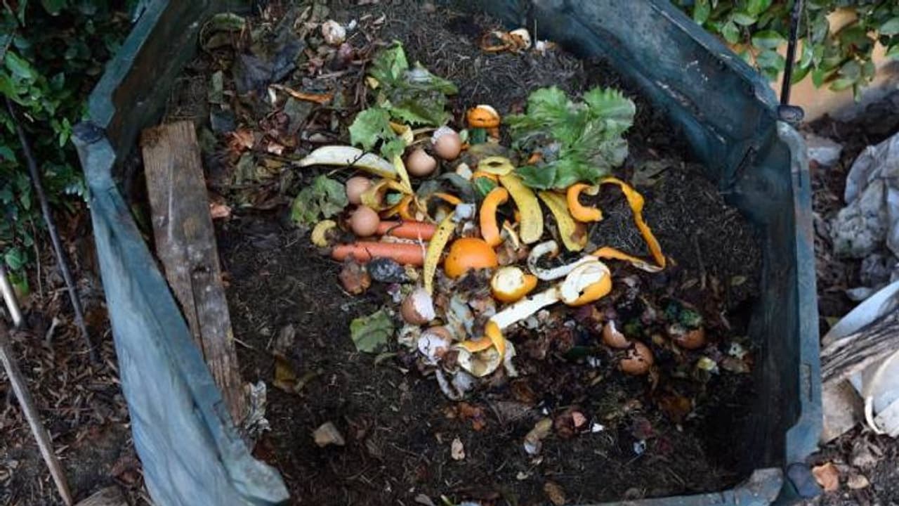 കാപ്പിയും ചായയും പാലുമൊന്നും ബാക്കിവന്നാല് കളയേണ്ട; കമ്പോസ്റ്റ് നിര്മിക്കാന് ദ്രാവകങ്ങളും ഉപയോഗിക്കാം കാപ്പിയും ചായയും പാലുമൊന്നും ബാക്കിവന്നാല് കളയേണ്ട; കമ്പോസ്റ്റ് നിര്മിക്കാന് ദ്രാവകങ്ങളും ഉപയോഗിക്കാം