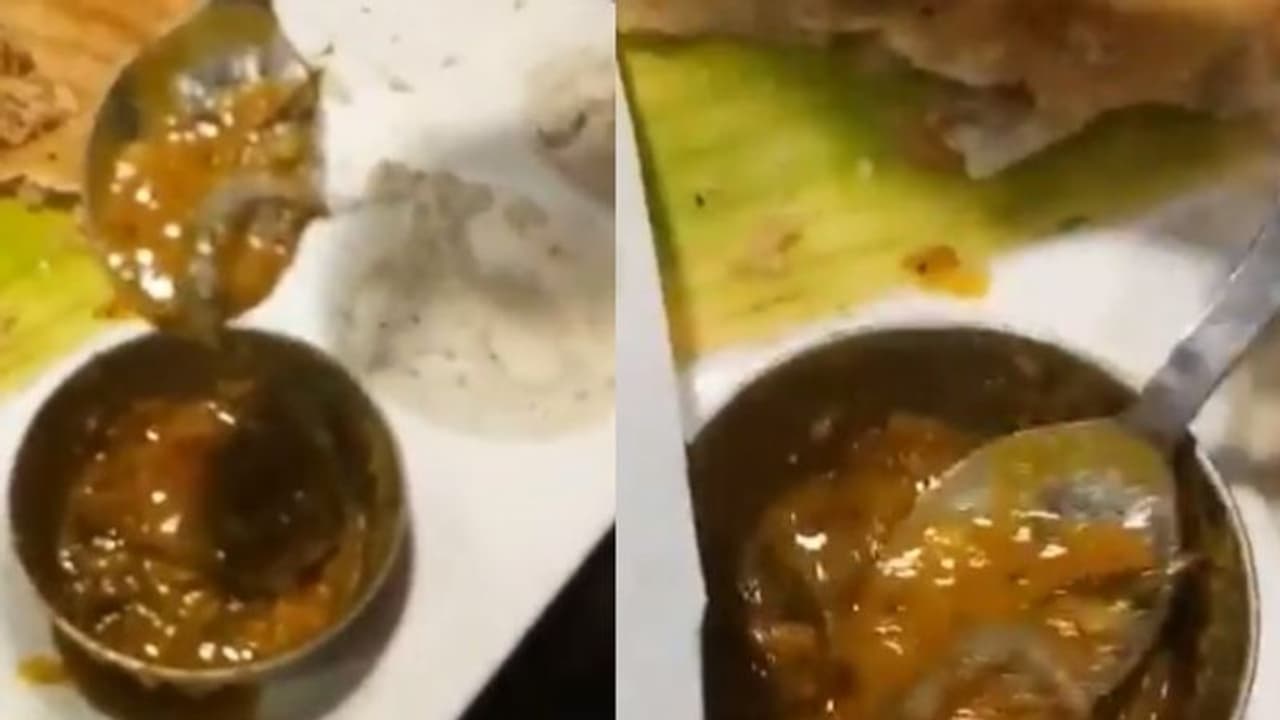 സാമ്പാറില് ചത്ത പല്ലിയുടെ അവശിഷ്ടം; വൈറലായി വീഡിയോ... സാമ്പാറില് ചത്ത പല്ലിയുടെ അവശിഷ്ടം; വൈറലായി വീഡിയോ...