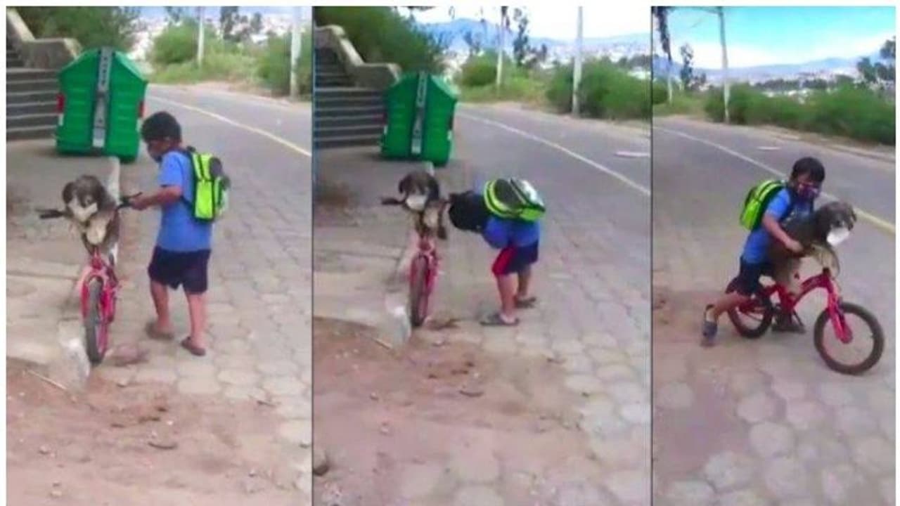 'എന്തൊരു കരുതൽ'; സ്വയം മാസ്ക് വച്ചതിന് പിന്നാലെ നായയെയും ധരിപ്പിച്ച് കൊച്ചുമിടുക്കൻ; കയ്യടിച്ച് സോഷ്യൽ മീഡിയ 'എന്തൊരു കരുതൽ'; സ്വയം മാസ്ക് വച്ചതിന് പിന്നാലെ നായയെയും ധരിപ്പിച്ച് കൊച്ചുമിടുക്കൻ; കയ്യടിച്ച് സോഷ്യൽ മീഡിയ