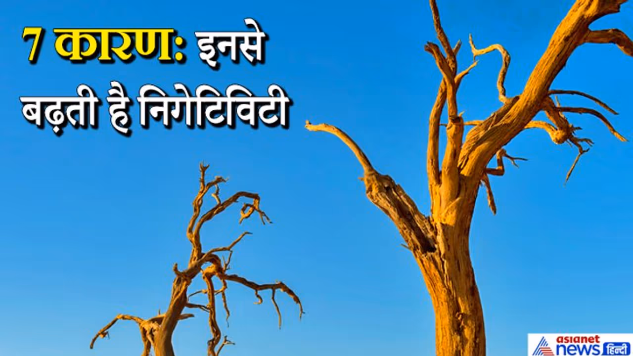 घर के आस पास हो कोई सूखा पेड़ तो उसे हटा दें, इन 7 कारणों से भी घर में बढ़ती है निगेटिविटी घर के आस पास हो कोई सूखा पेड़ तो उसे हटा दें, इन 7 कारणों से भी घर में बढ़ती है निगेटिविटी
