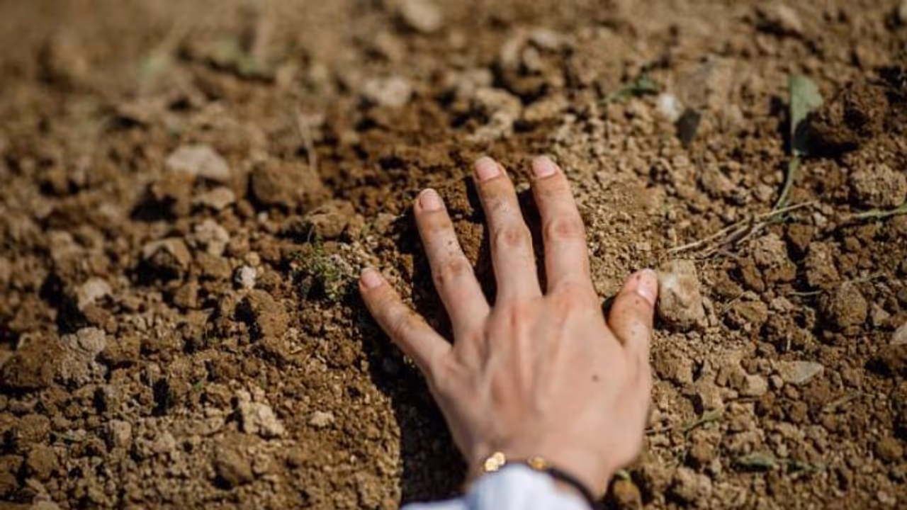 'കൊല്ലപ്പെട്ടവരുടെ കൂട്ടത്തില്‍ എന്‍റെ പിതാവുമുണ്ടായിരുന്നു, ഞാനദ്ദേഹത്തെ കണ്ടത് യൂട്യൂബ് വീഡിയോയില്‍ മാത്രം'