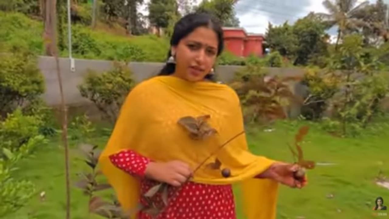 ഇവിടെ മൾബറിയും ഓറഞ്ചും തണ്ണീർമത്തനും വിളയും; അനു സിത്താരയുടെ ഏദൻ തോട്ടംകാണാം