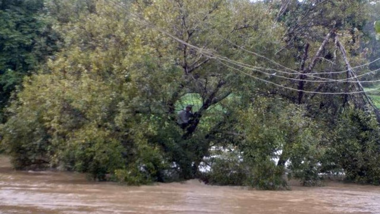 రాయలసీమలో భారీ వర్షాలు: లోతట్టు ప్రాంతాలు జలమయం, నదులకు పోటెత్తిన వరద రాయలసీమలో భారీ వర్షాలు: లోతట్టు ప్రాంతాలు జలమయం, నదులకు పోటెత్తిన వరద