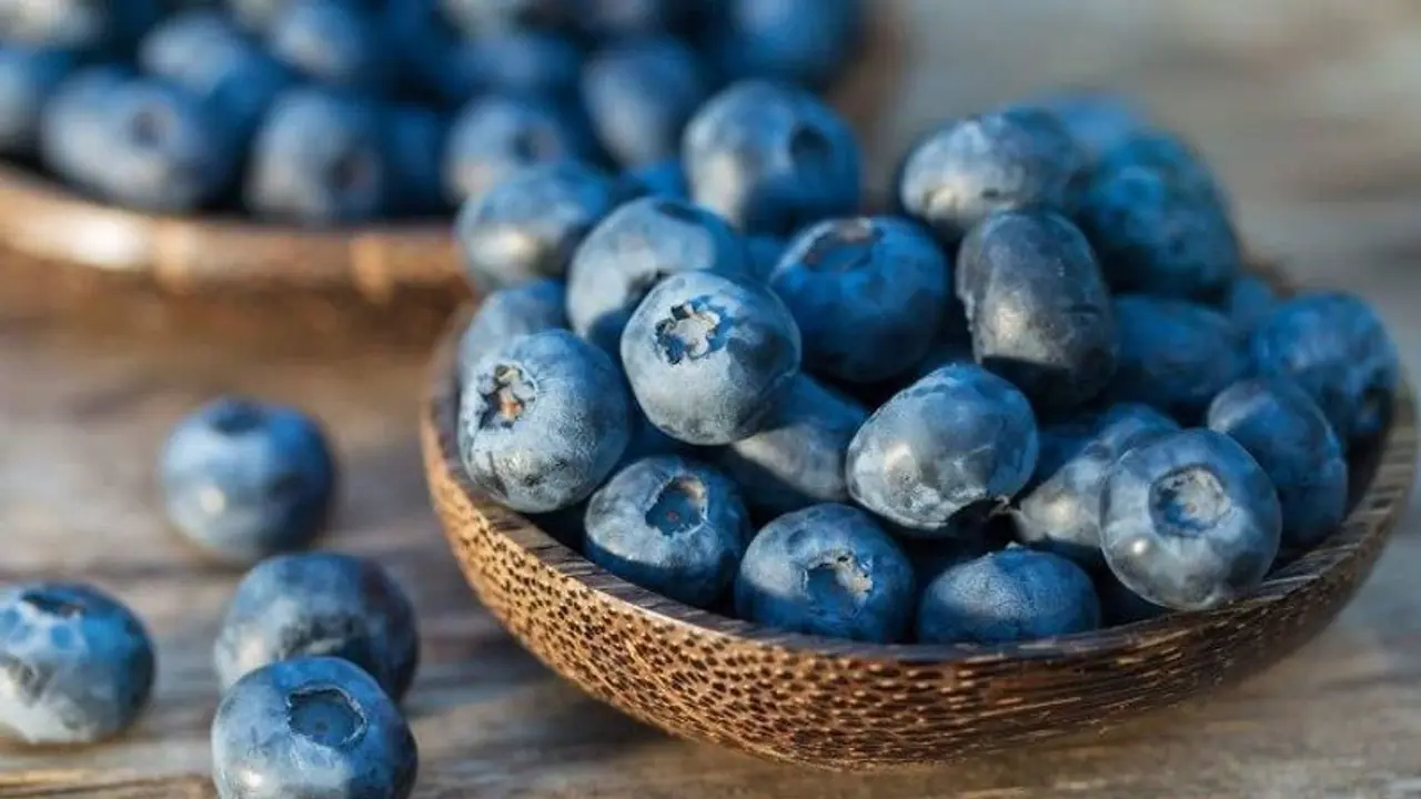 സ്ത്രീകൾ 'ബ്ലൂബെറി' കഴിക്കണമെന്ന് പറയുന്നതിന്റെ കാരണം ഇതാണ്... സ്ത്രീകൾ 'ബ്ലൂബെറി' കഴിക്കണമെന്ന് പറയുന്നതിന്റെ കാരണം ഇതാണ്...