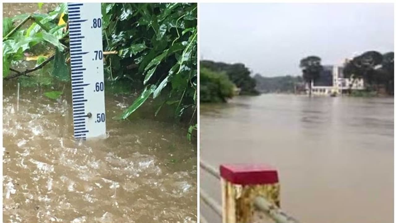 മീനച്ചിലാറ്റിൽ ജലനിരപ്പ് ഉയരുന്നു; പാലായിൽ വെള്ളപ്പൊക്ക ഭീഷണി