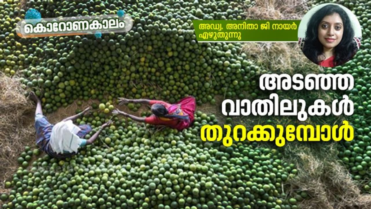 ഞായറാഴ്ച ചന്തയിലെ മുത്തശ്ശിയുടെ കണ്ണിലിപ്പോഴും പ്രതീക്ഷകളുണ്ട്... ഞായറാഴ്ച ചന്തയിലെ മുത്തശ്ശിയുടെ കണ്ണിലിപ്പോഴും പ്രതീക്ഷകളുണ്ട്...