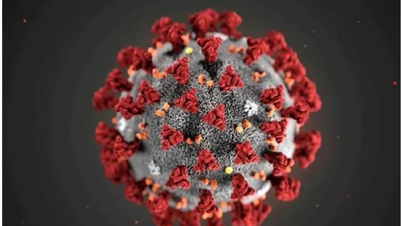 Delhi, Mumbai see dip in COVID 19 cases; Bengaluru, Kerala see rise in infections Delhi, Mumbai see dip in COVID 19 cases; Bengaluru, Kerala see rise in infections