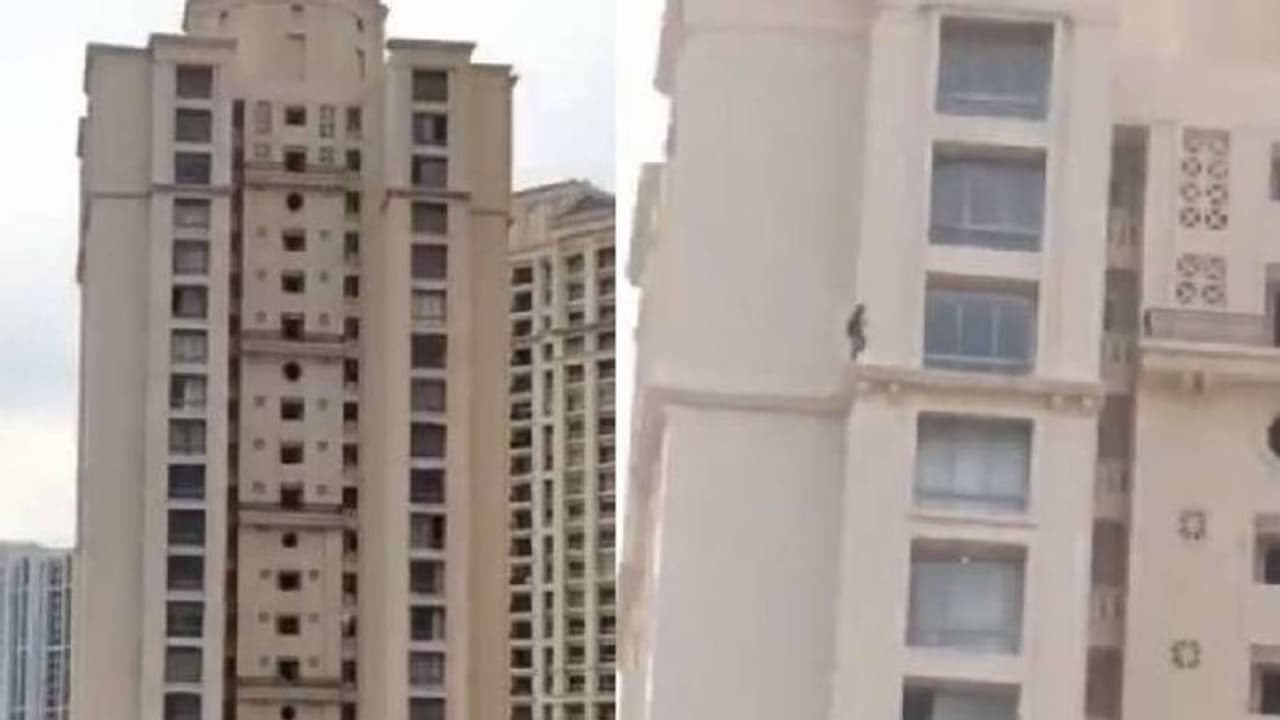 കൂറ്റൻ കെട്ടിടത്തിന് മുകളിൽ അലക്ഷ്യമായി നടക്കുന്ന പെൺകുട്ടി; വീഡിയോ വൈറല്; വിമര്ശനം കൂറ്റൻ കെട്ടിടത്തിന് മുകളിൽ അലക്ഷ്യമായി നടക്കുന്ന പെൺകുട്ടി; വീഡിയോ വൈറല്; വിമര്ശനം