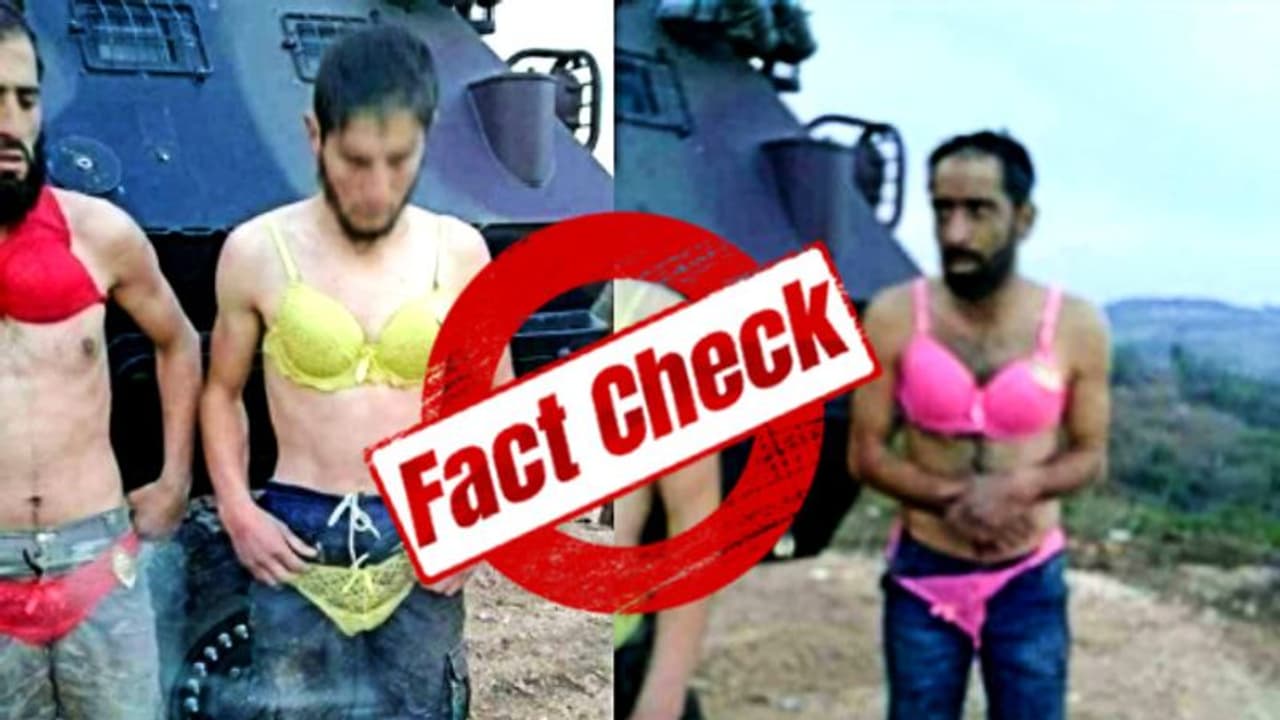 স্বর্গে মিলবে ৭২ জন কুমারী, তাই মহিলাদের অন্তর্বাস পরে লড়ে আইএস জঙ্গিরা, সত্যিই কি তাই