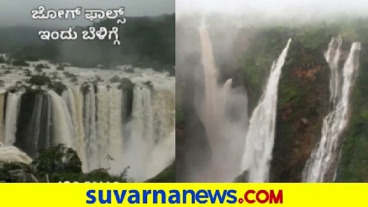 ಜೋಗ ಜಲಪಾತದಲ್ಲಿ ಅಷ್ಟಕ್ಕೂ ಎಷ್ಟು ನೀರಿದೆ? ಅಸಲಿ ಕತೆ ಬೇರೆನೇ ಇದೆ!