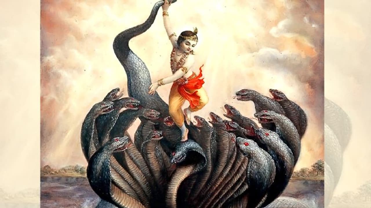 जन्माष्टमी: जब श्रीकृष्ण ने कालिया नाग को हराकर दिया नदियों को प्रदूषण से मुक्ति का संदेश जन्माष्टमी: जब श्रीकृष्ण ने कालिया नाग को हराकर दिया नदियों को प्रदूषण से मुक्ति का संदेश