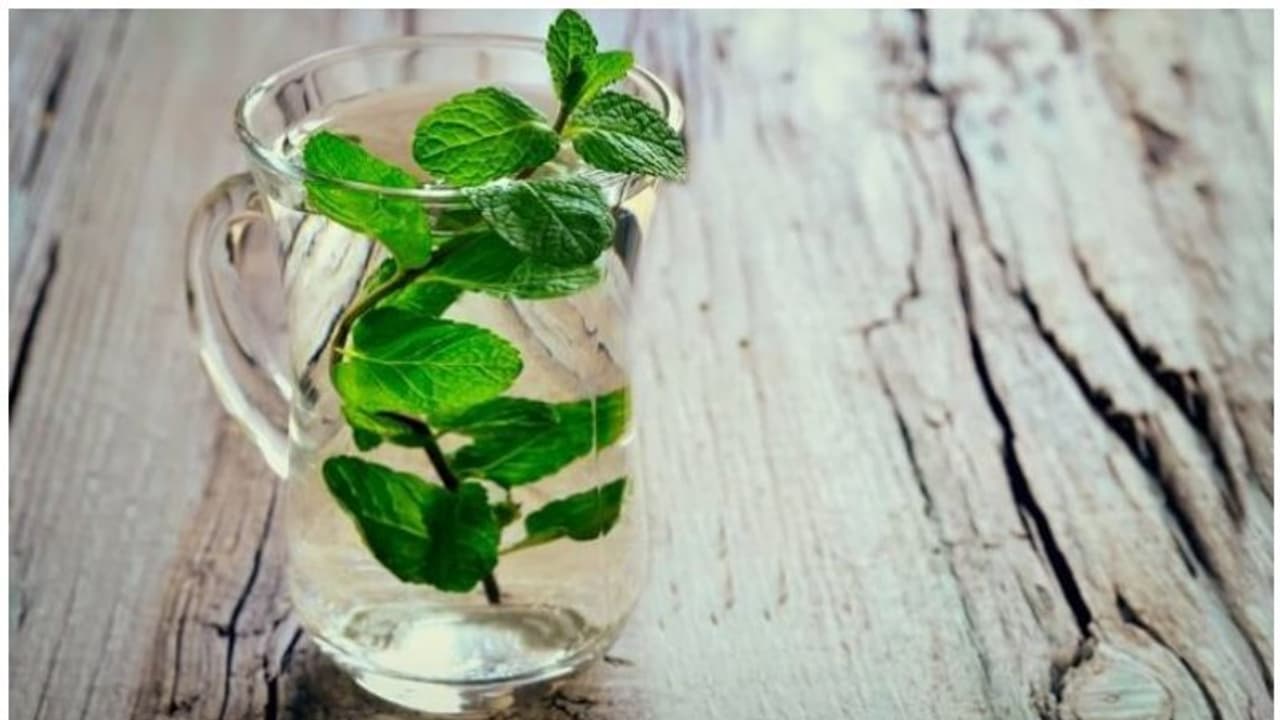 പുതിന വെള്ളം കുടിക്കുന്നത് ശീലമാക്കൂ; ​ഗുണങ്ങൾ അറിയാം