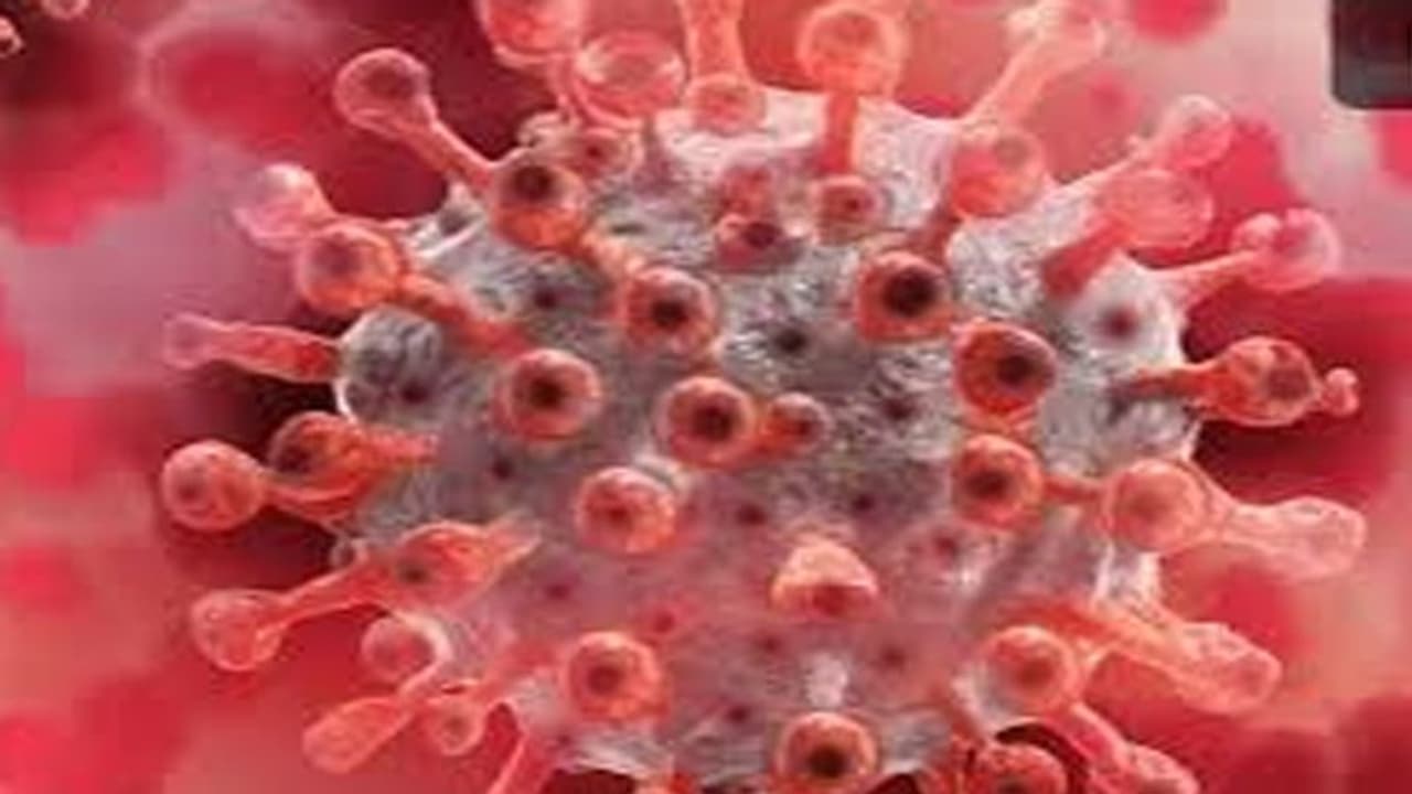 హైదరాబాదులో కరోనా తగ్గుముఖం: తెలంగాణలో 80 వేలు దాటిన కేసులు హైదరాబాదులో కరోనా తగ్గుముఖం: తెలంగాణలో 80 వేలు దాటిన కేసులు