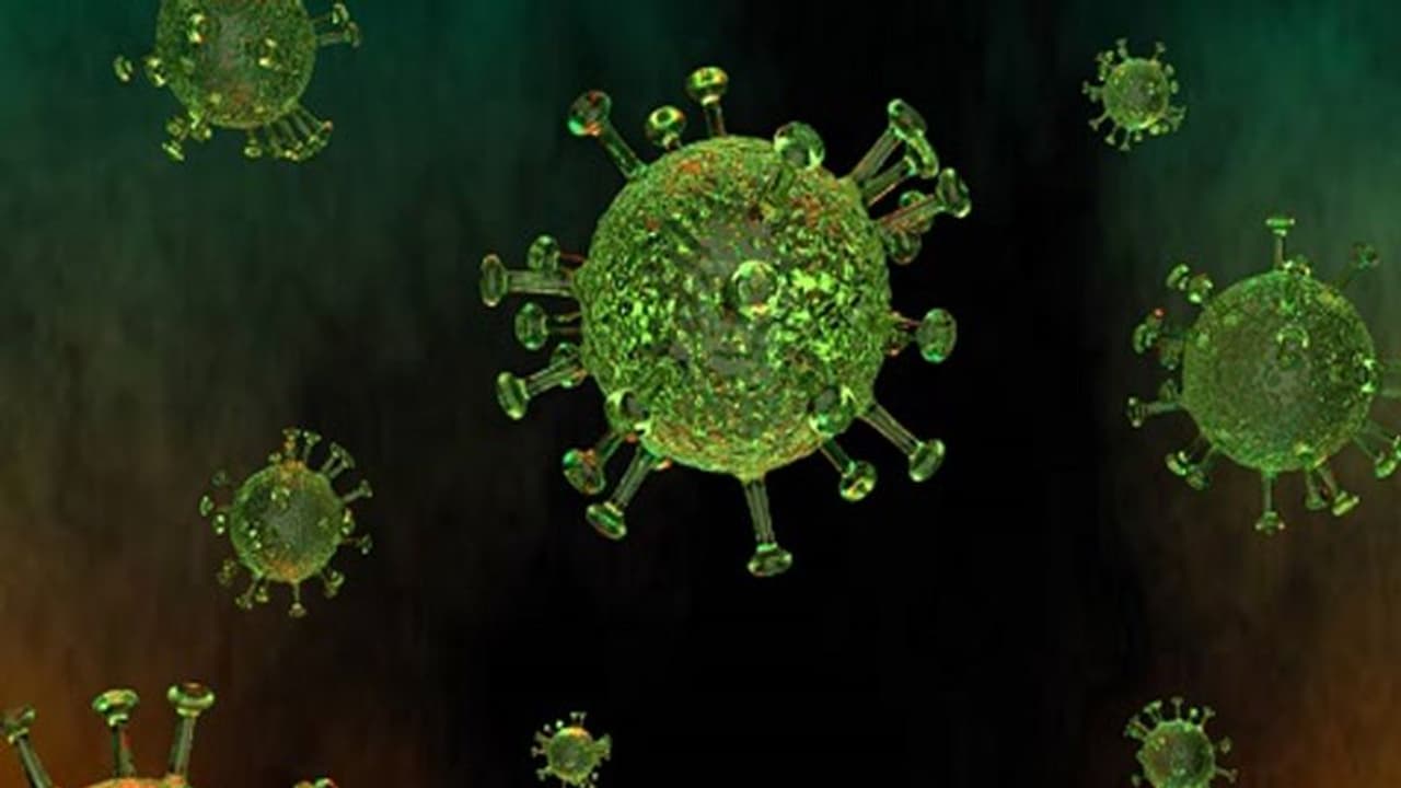 പെരിന്തൽമണ്ണ ബെവ്കൊ ജീവനക്കാർക്കും ശ്രീകാര്യത്ത് സൂപ്പര്മാർക്കറ്റ് ജീവനക്കാര്ക്കും കൊവിഡ് പെരിന്തൽമണ്ണ ബെവ്കൊ ജീവനക്കാർക്കും ശ്രീകാര്യത്ത് സൂപ്പര്മാർക്കറ്റ് ജീവനക്കാര്ക്കും കൊവിഡ്