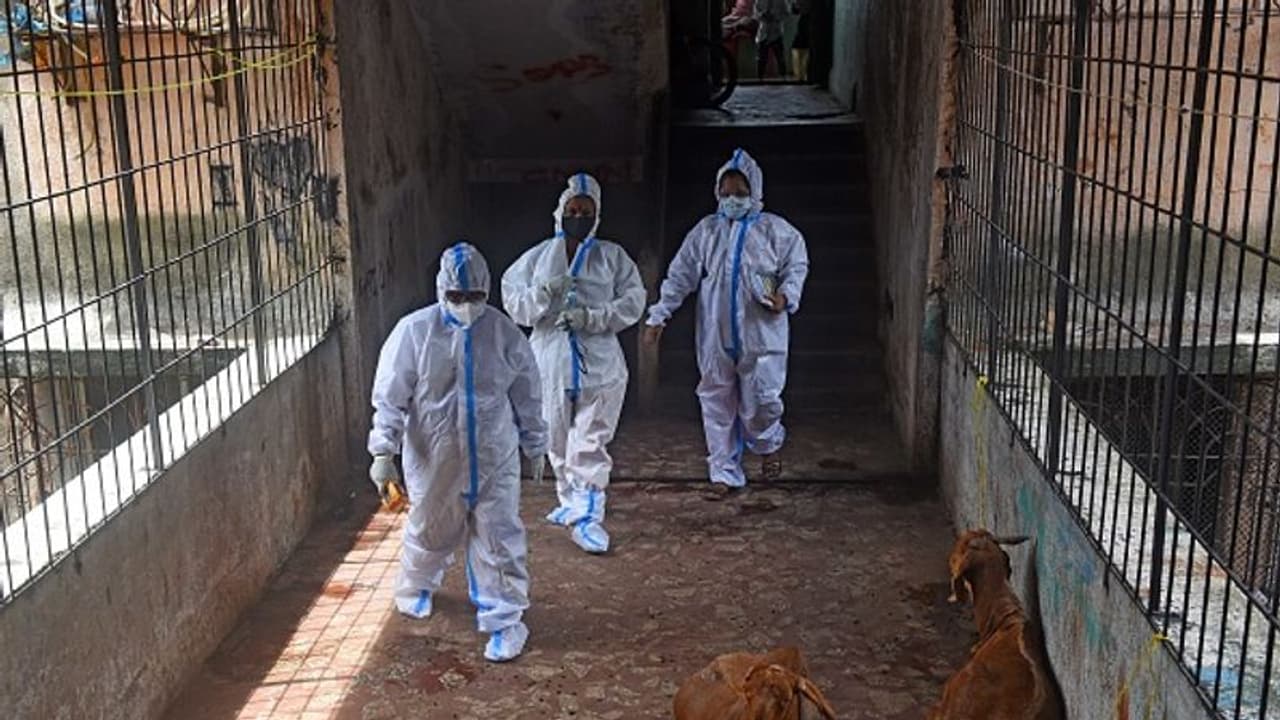 ఒంగోలు రిమ్స్ లో కుక్కలు తిన్న డెడ్బాడీ: ద్విసభ్య కమిటీ ఏర్పాటు ఒంగోలు రిమ్స్ లో కుక్కలు తిన్న డెడ్బాడీ: ద్విసభ్య కమిటీ ఏర్పాటు