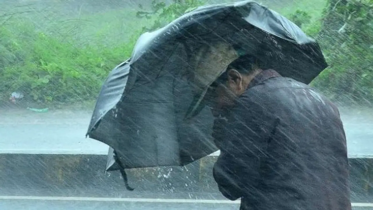 স্বস্তি মিলবে শহরে, অঝোর ধারার বৃষ্টির পূর্বাভাস গাঙ্গেয় পশ্চিমবঙ্গে স্বস্তি মিলবে শহরে, অঝোর ধারার বৃষ্টির পূর্বাভাস গাঙ্গেয় পশ্চিমবঙ্গে