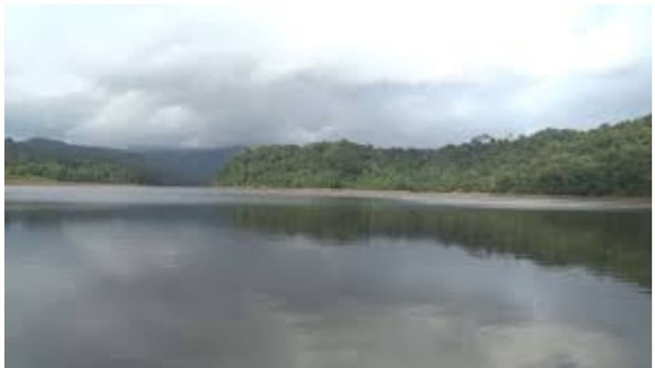 പെരിങ്ങൽകുത്തിൽ ജലനിരപ്പ് കുറഞ്ഞു, ആശങ്ക നീങ്ങി; തൃശ്ശൂരിൽ യെല്ലോ അലർട്ട് പെരിങ്ങൽകുത്തിൽ ജലനിരപ്പ് കുറഞ്ഞു, ആശങ്ക നീങ്ങി; തൃശ്ശൂരിൽ യെല്ലോ അലർട്ട്