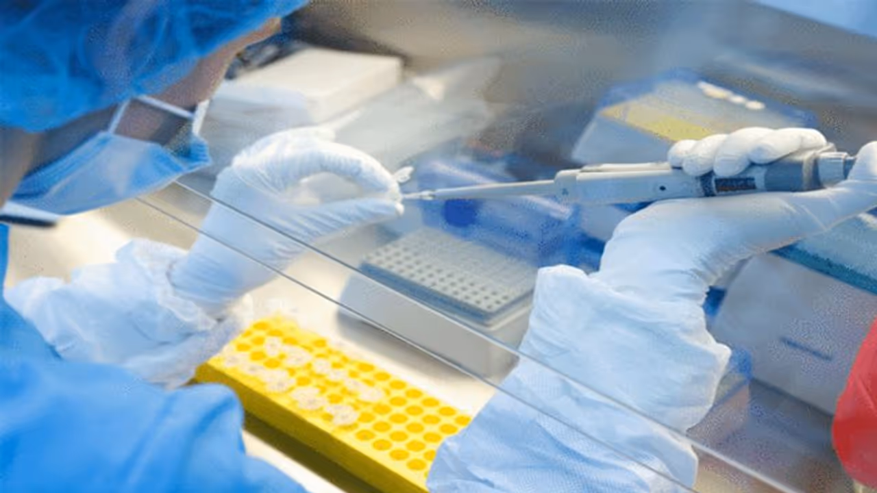 2500 ಜನರಿಗೆ ಸೋಂಕು ಹಬ್ಬಿಸಿ ಪರೀಕ್ಷೆ: ವೈರಸ್ ತಗುಲಿಸಿಕೊಂಡರೆ 4 ಲಕ್ಷ! 2500 ಜನರಿಗೆ ಸೋಂಕು ಹಬ್ಬಿಸಿ ಪರೀಕ್ಷೆ: ವೈರಸ್ ತಗುಲಿಸಿಕೊಂಡರೆ 4 ಲಕ್ಷ!