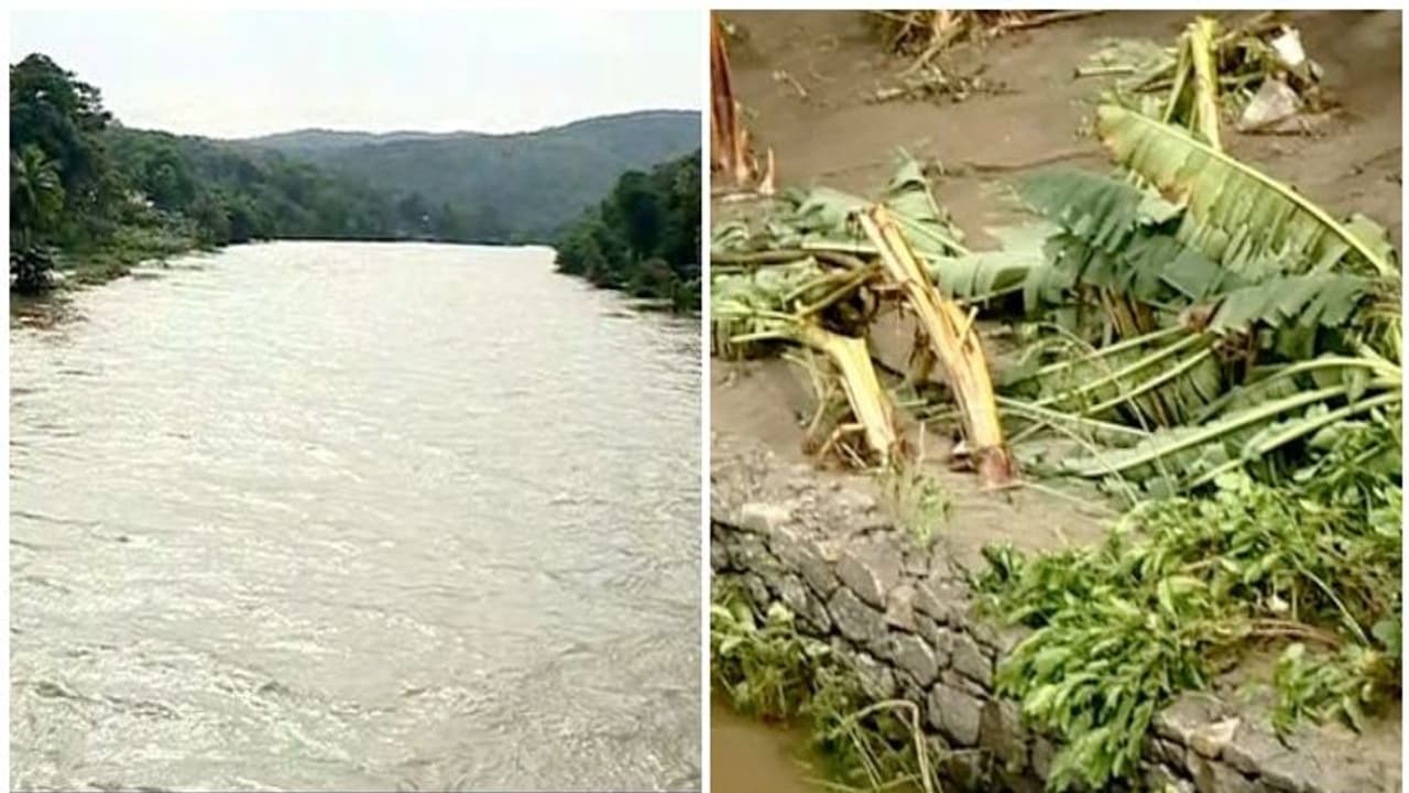 മഴയുടെ ശക്തി കുറഞ്ഞു, കൃഷിനാശവും വെള്ളക്കെട്ടും തുടരുന്നു; കാലവർഷക്കെടുതിയിൽ ഇന്ന് മൂന്ന് മരണം