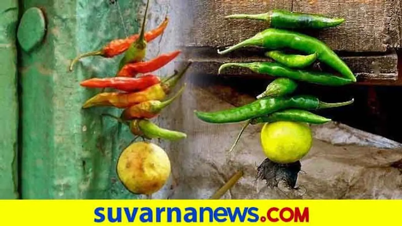 ಮನೆ ಮುಂದೆ ನಿಂಬೆ ಮೆಣಸು ಕಟ್ಟುವುದು ಏಕೆ ಗೊತ್ತಾ? ಮನೆ ಮುಂದೆ ನಿಂಬೆ ಮೆಣಸು ಕಟ್ಟುವುದು ಏಕೆ ಗೊತ್ತಾ?