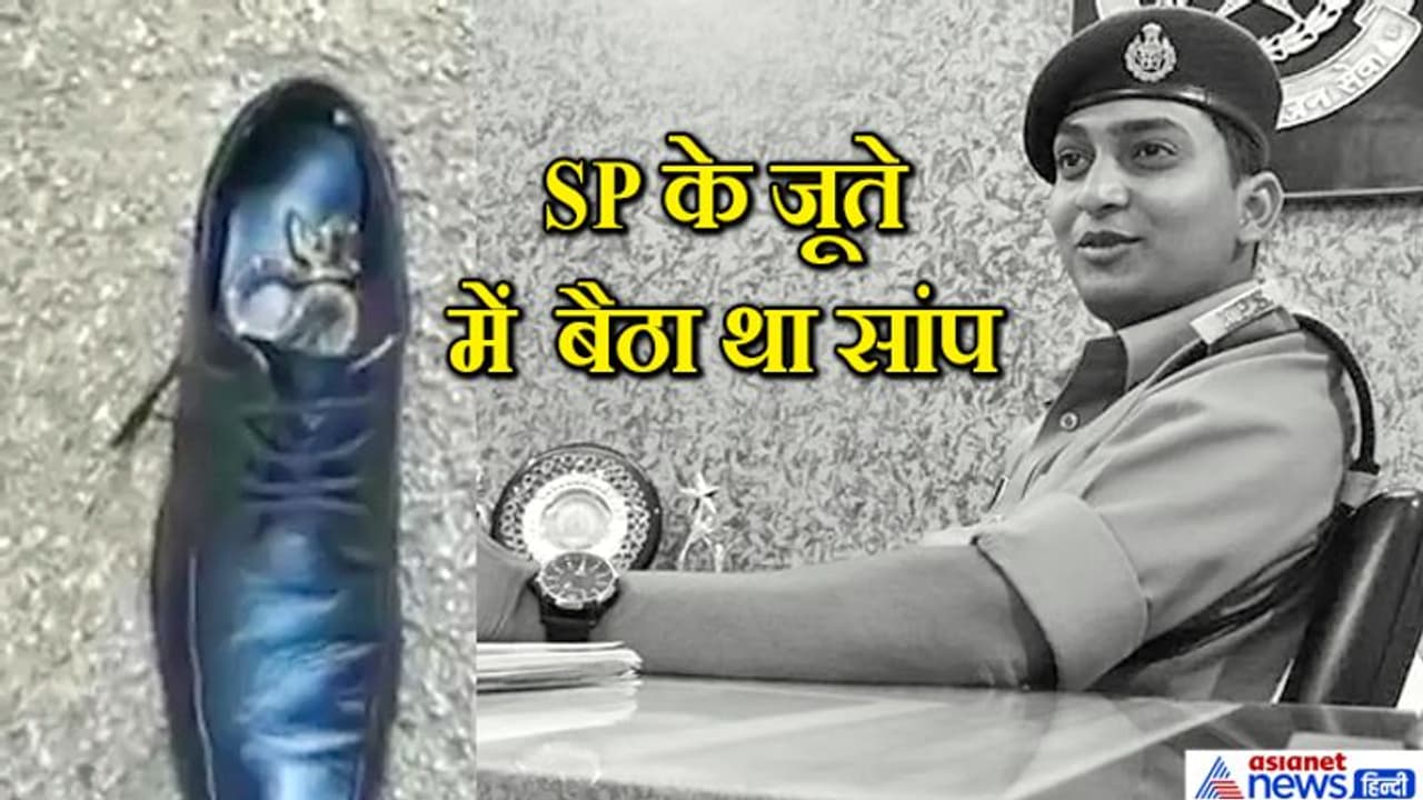 షూలో దూరి ఎస్పీని కాటు వేసిన పాము.. షూలో దూరి ఎస్పీని కాటు వేసిన పాము..