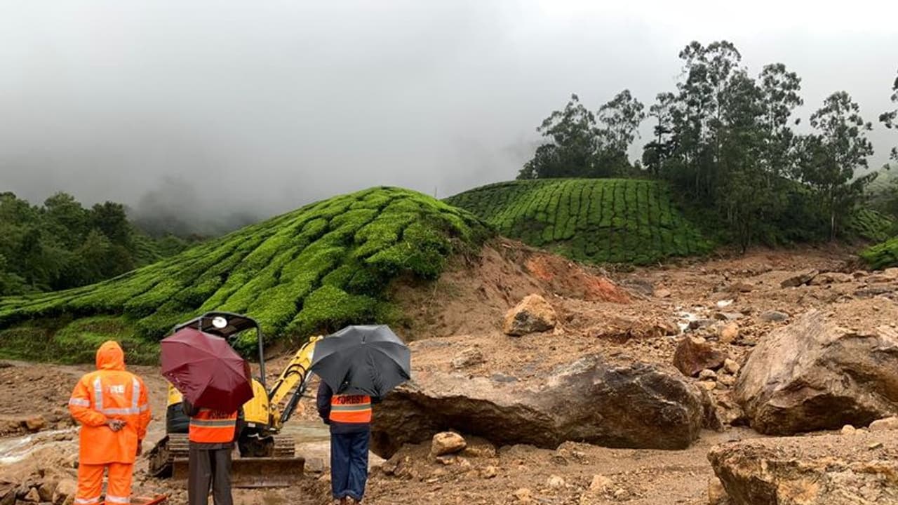 പെട്ടിമുടി ദുരന്തത്തിനിരയായവര്‍ ഹൈക്കോടതിയില്‍; പുനരധിവാസത്തിനായി നിശ്ചയിച്ച ഭൂമി വാസയോഗ്യമല്ലെന്ന് പരാതി