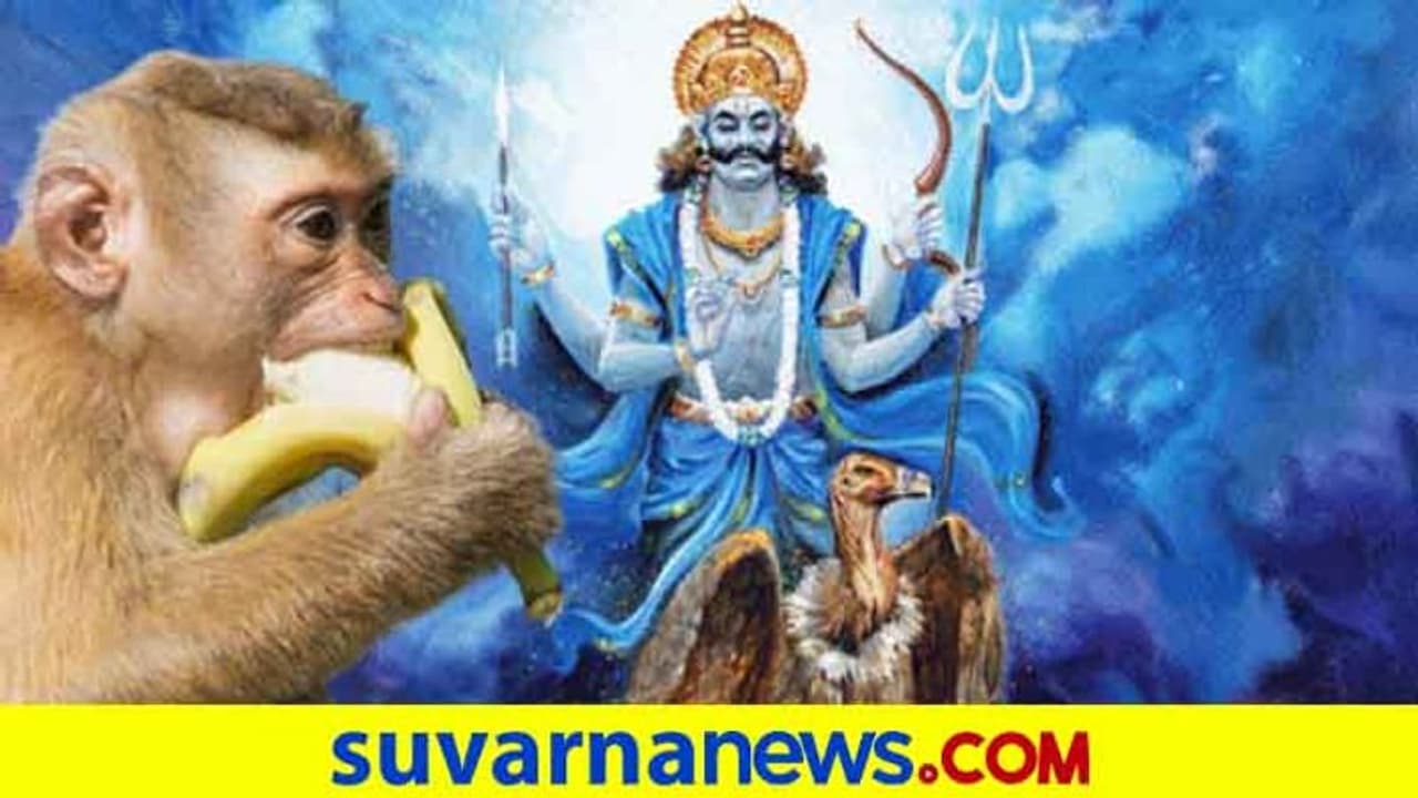 ಹೀಗೆ ಮಾಡಿದ್ರೆ ಶನಿ ನಿಮ್ಮನ್ನು ಏನೂ ಮಾಡಲ್ಲ! ಹೀಗೆ ಮಾಡಿದ್ರೆ ಶನಿ ನಿಮ್ಮನ್ನು ಏನೂ ಮಾಡಲ್ಲ!