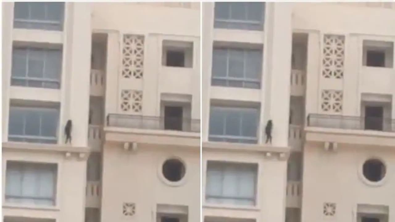 ఎవరి ధైర్యమెంతో తేల్చుకుందామా: 23వ అంతస్తుపై అన్నాచెల్లెళ్ల సవాల్ ఎవరి ధైర్యమెంతో తేల్చుకుందామా: 23వ అంతస్తుపై అన్నాచెల్లెళ్ల సవాల్